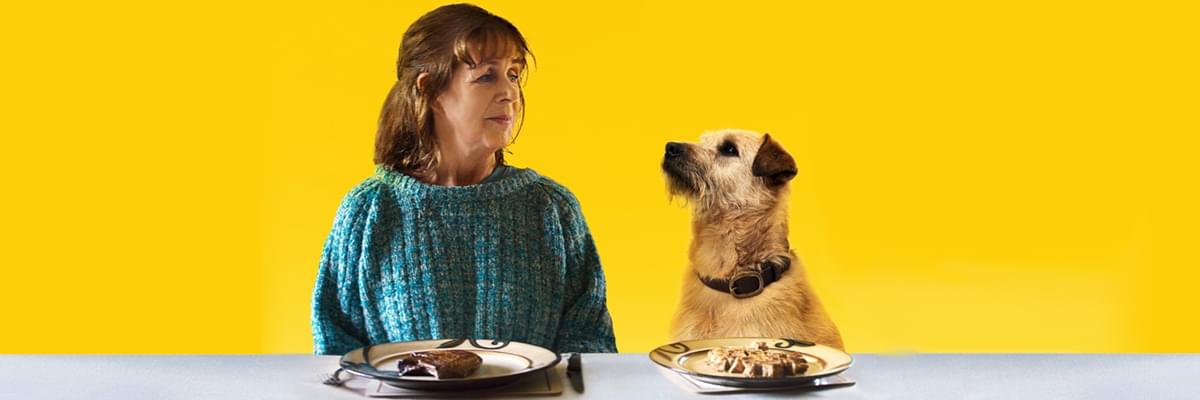Against a bright yellow background, actor Bríd Ní Neachtain is wearing a blue jumper, looking at a scruffy, brown dog to her left. Both have plates of food in front of them.