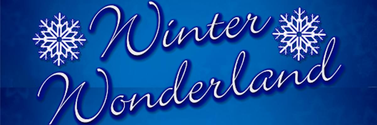 Swirly white text with a dark blue border 'Winter Wonderland', on a dark blue background and with a large white snowflake on either side